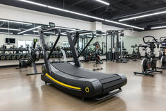 SFE Curved Air Runner Elite Pro w/ Sled Push Feature (New) - Green Vista Living