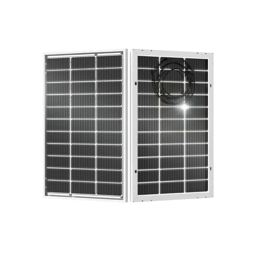 Eco-Worthy 100W Bifacial Solar Panel - Green Vista Living