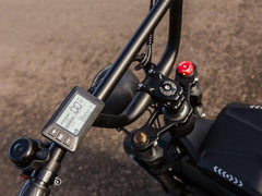 Freego Shotgun Prime F2 Pro Electric Cargo Bike - Green Vista Living