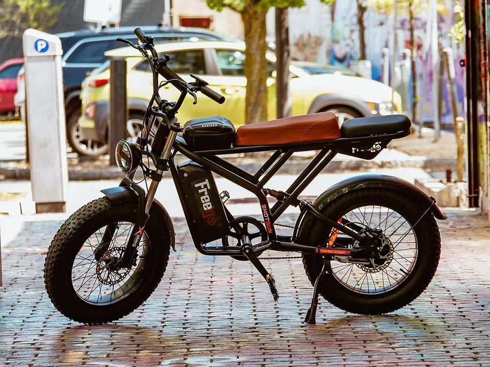 Freego Shotgun Prime F2 Pro Electric Cargo Bike - Green Vista Living