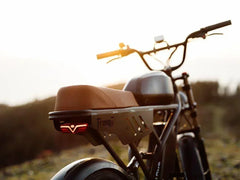 Freego Shotgun Flash F3 Pro Max Premium Electric Bike - Green Vista Living