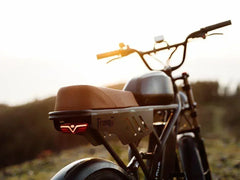 Freego Shotgun Flash F3 Pro Max Premium Electric Bike - Green Vista Living
