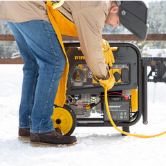 FIRMAN Power Equipment Dual Fuel Portable Generator 8000W Electric Start 120/240V