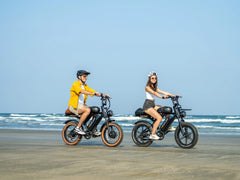 Movcan V30 Max Dual Battery Electric Bike - Green Vista Living