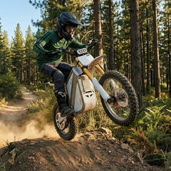TST® GT73 17" 6000W 339Nm Electric Dirt Bike