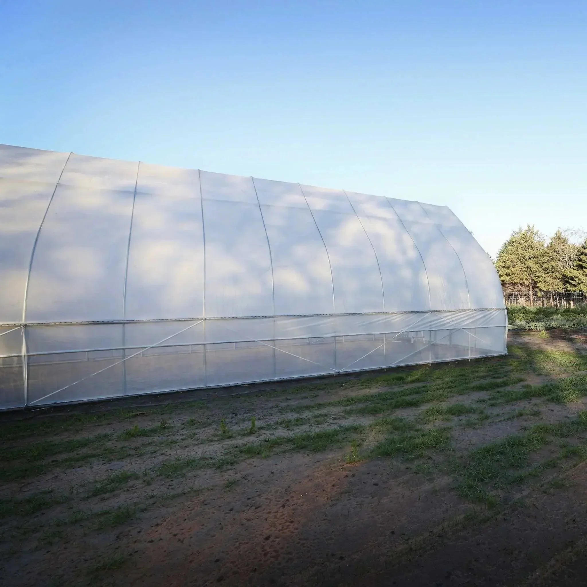 Bootstrap Farmer Gothic All-Metal Hoop House Kit - Green Vista Living
