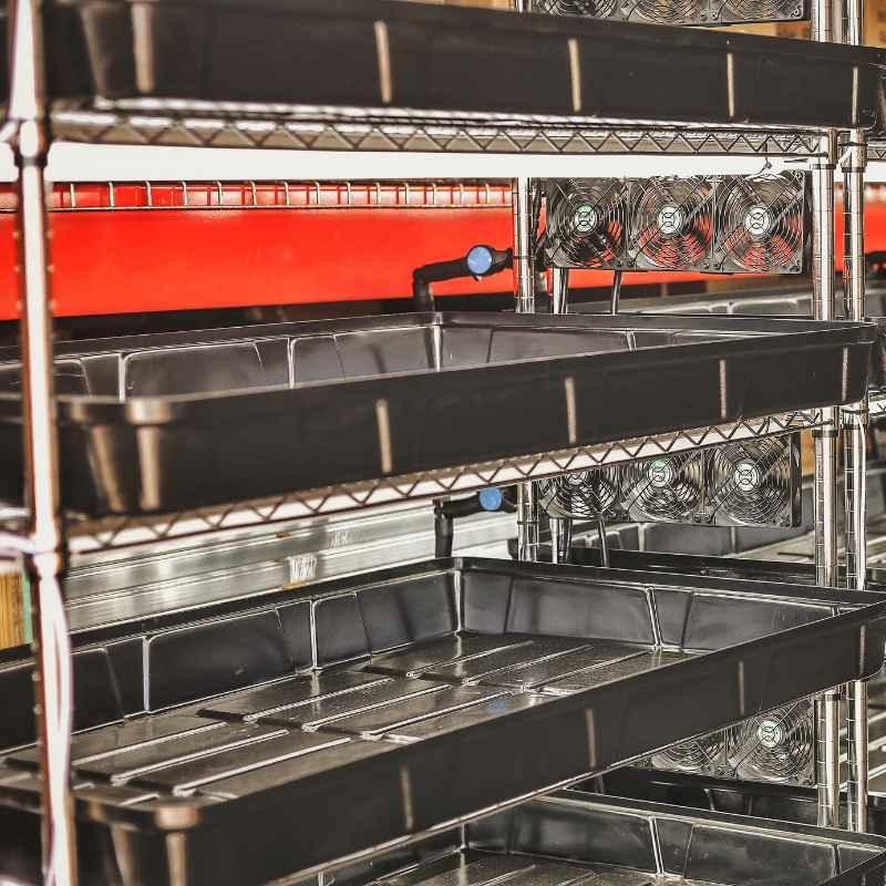 Bootstrap Farmer Grow Rack - Automated Vertical Propagation Rack - Green Vista Living
