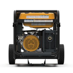 FIRMAN Power Equipment Dual Fuel Portable Generator 7125/5700W Electric Start 120/240V