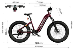 HOVSCO HovAlpha 26" Step-Thru Fat Tire Ebike - Green Vista Living