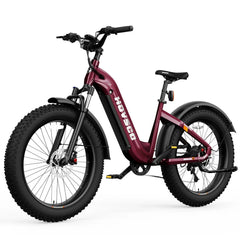 HOVSCO HovAlpha 26" Step-Thru Fat Tire Ebike - Green Vista Living