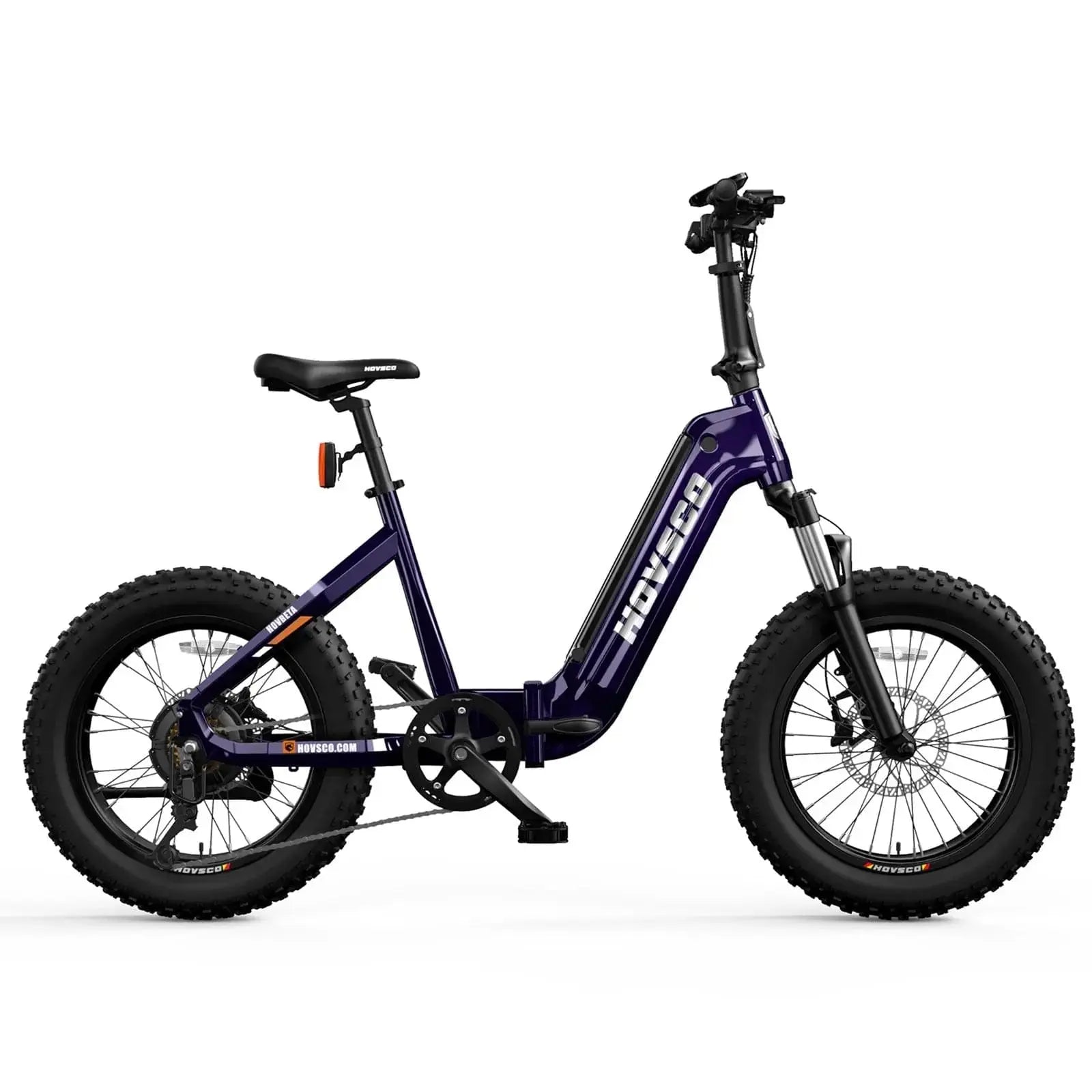 HOVSCO HovBeta 20" Foldable Fat Tire Electric Bike - Green Vista Living