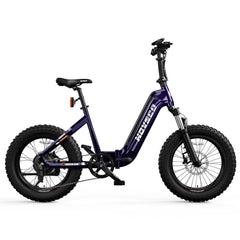 HOVSCO HovBeta 20" Foldable Fat Tire Electric Bike - Green Vista Living