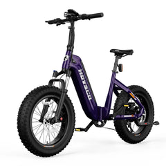 HOVSCO HovBeta 20" Foldable Fat Tire Electric Bike - Green Vista Living