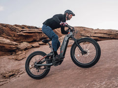 Heybike Hero - Green Vista Living