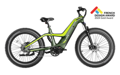 Heybike Hero - Green Vista Living