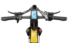 Heybike Horizon-Combo