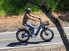 Heybike Horizon - Green Vista Living