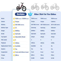 HOVSCO HovAlpha 26" Fat Tire Electric Bike - Green Vista Living