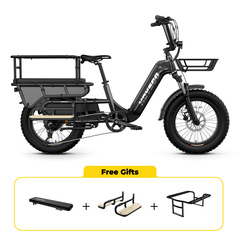 HOVSCO HovCart 20“ Step-Thru Electric Fat Tire Cargo Bike - Green Vista Living