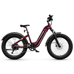 HOVSCO HovAlpha 26" Step-Thru Fat Tire Ebike - Green Vista Living