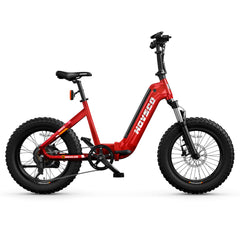 HOVSCO HovBeta 20" Foldable Fat Tire Electric Bike - Green Vista Living