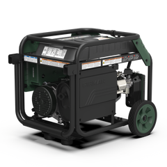 FIRMAN Power Equipment LPG Portable Generator 4100/3300W Electric Start
