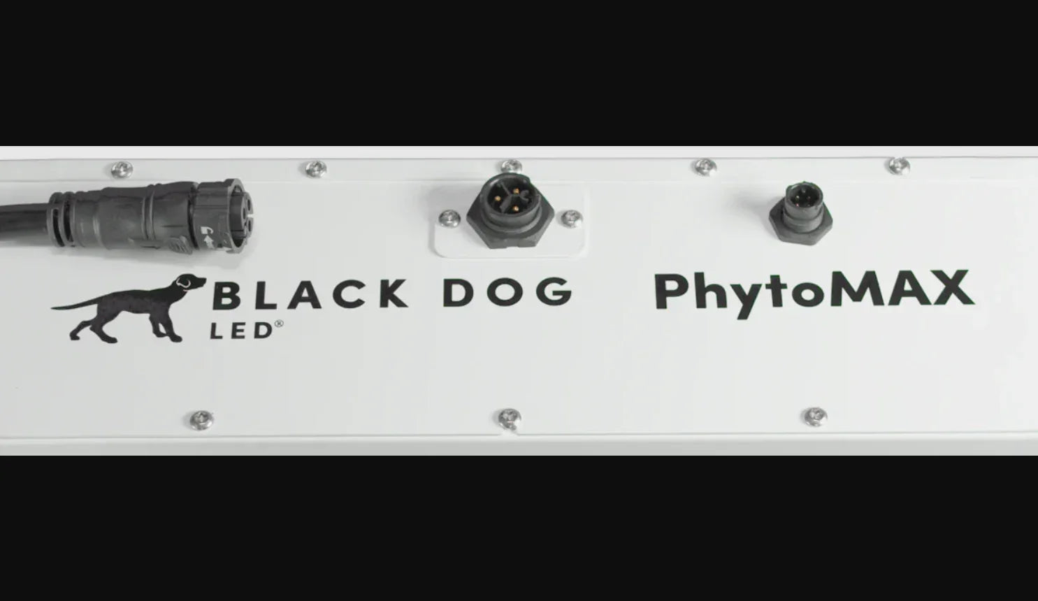 Black Dog 1500W PhytoMax-4 24S LED Grow Light - Green Vista Living