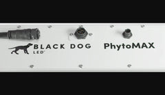 Black Dog 1500W PhytoMax-4 24S LED Grow Light - Green Vista Living