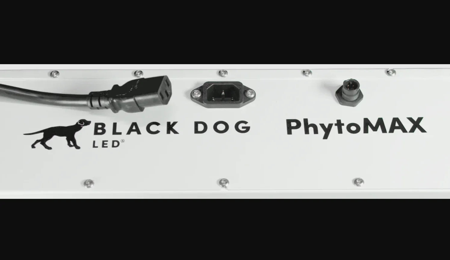 Black Dog 1500W PhytoMax-4 24S LED Grow Light - Green Vista Living