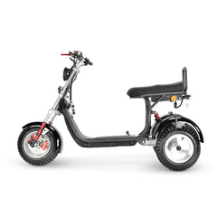 LinksEride CP7 DUAL MOTOR 2000W 60V 20Ah Electric Scooter Trike - Green Vista Living