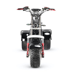 LinksEride CP7 DUAL MOTOR 2000W 60V 20Ah Electric Scooter Trike - Green Vista Living