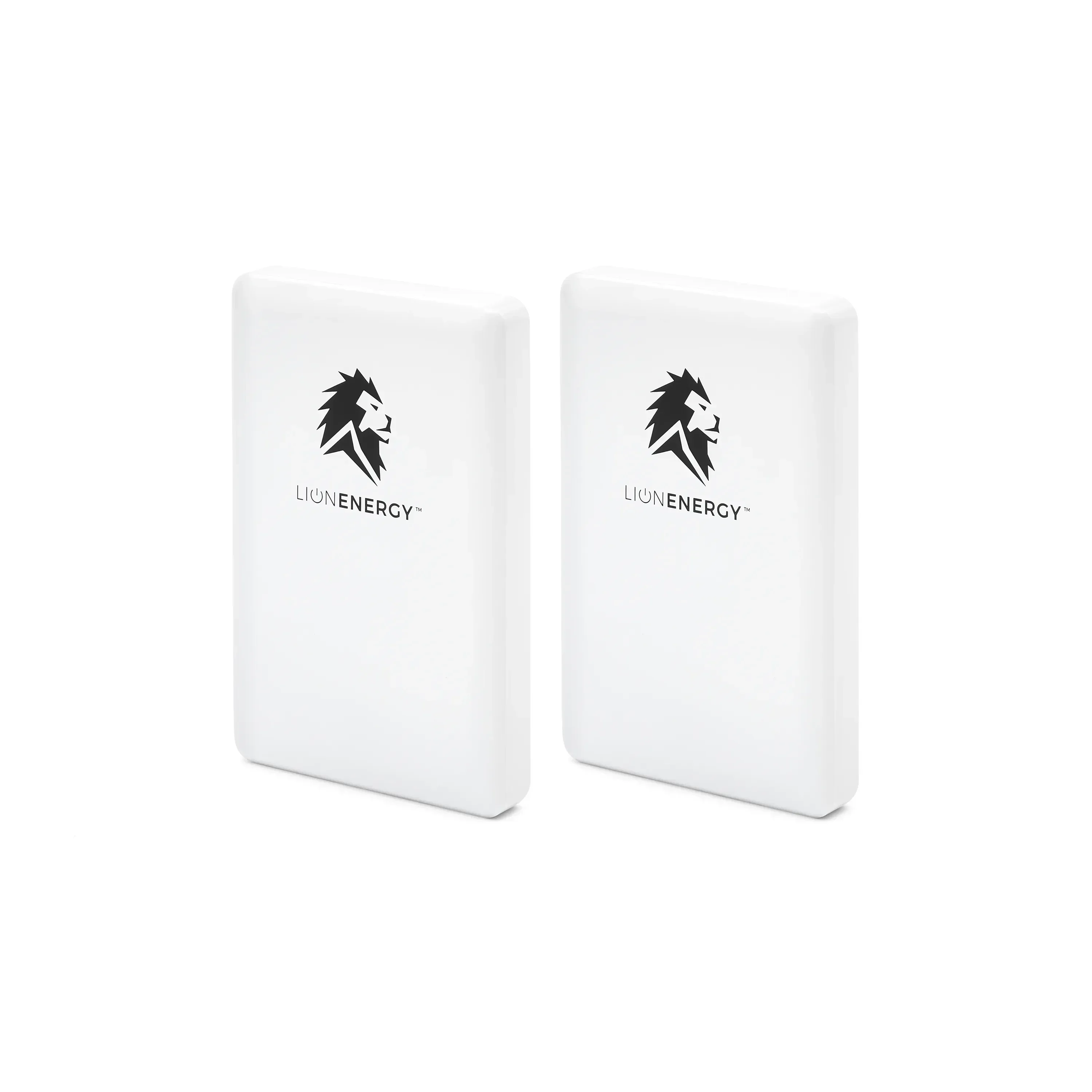 Lion Energy Lion Claw 2-Pack - Green Vista Living
