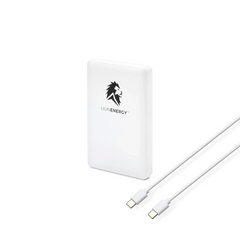 Lion Energy Power Bank Bundle - Green Vista Living