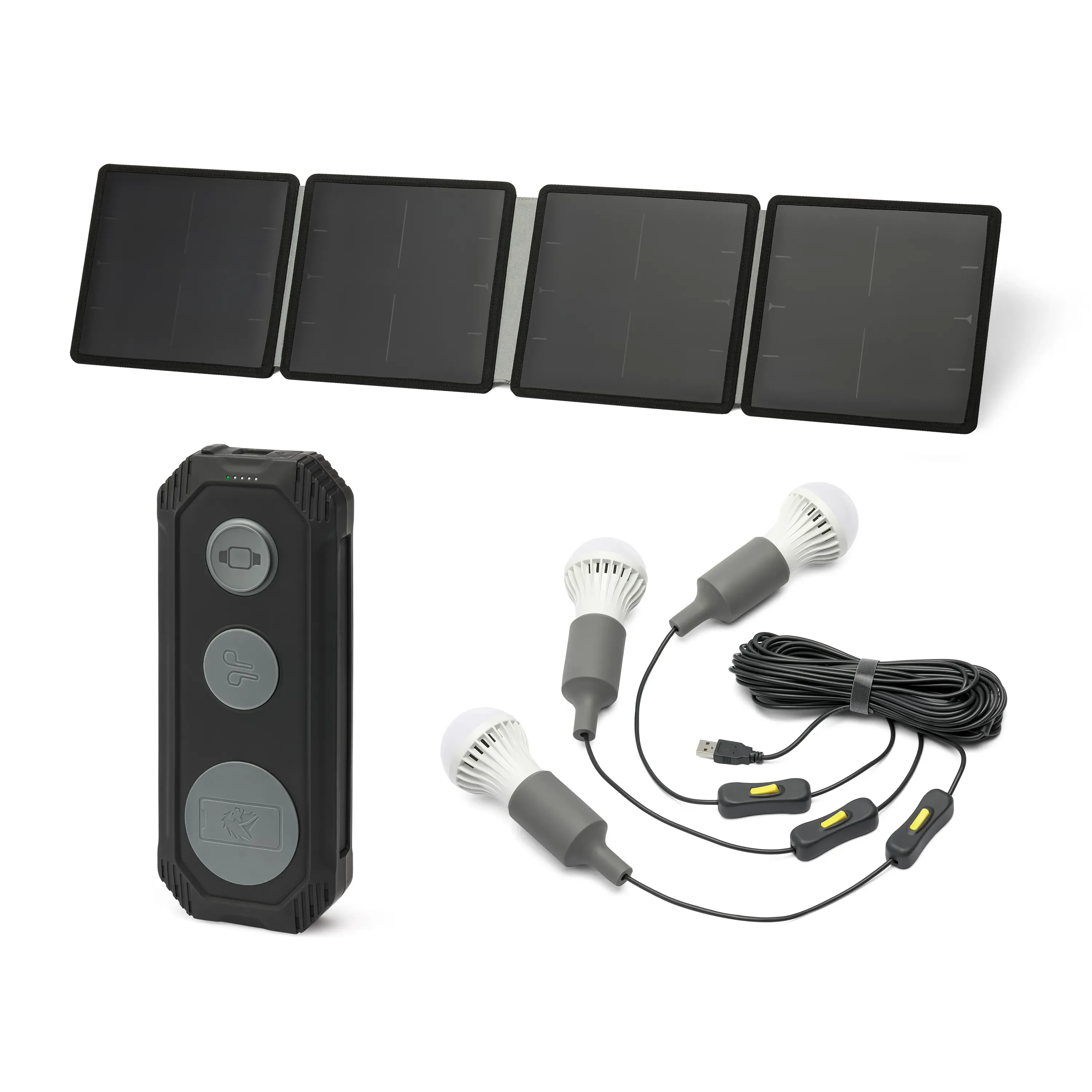 Lion Energy Lion Eclipse Travel Kit - Green Vista Living