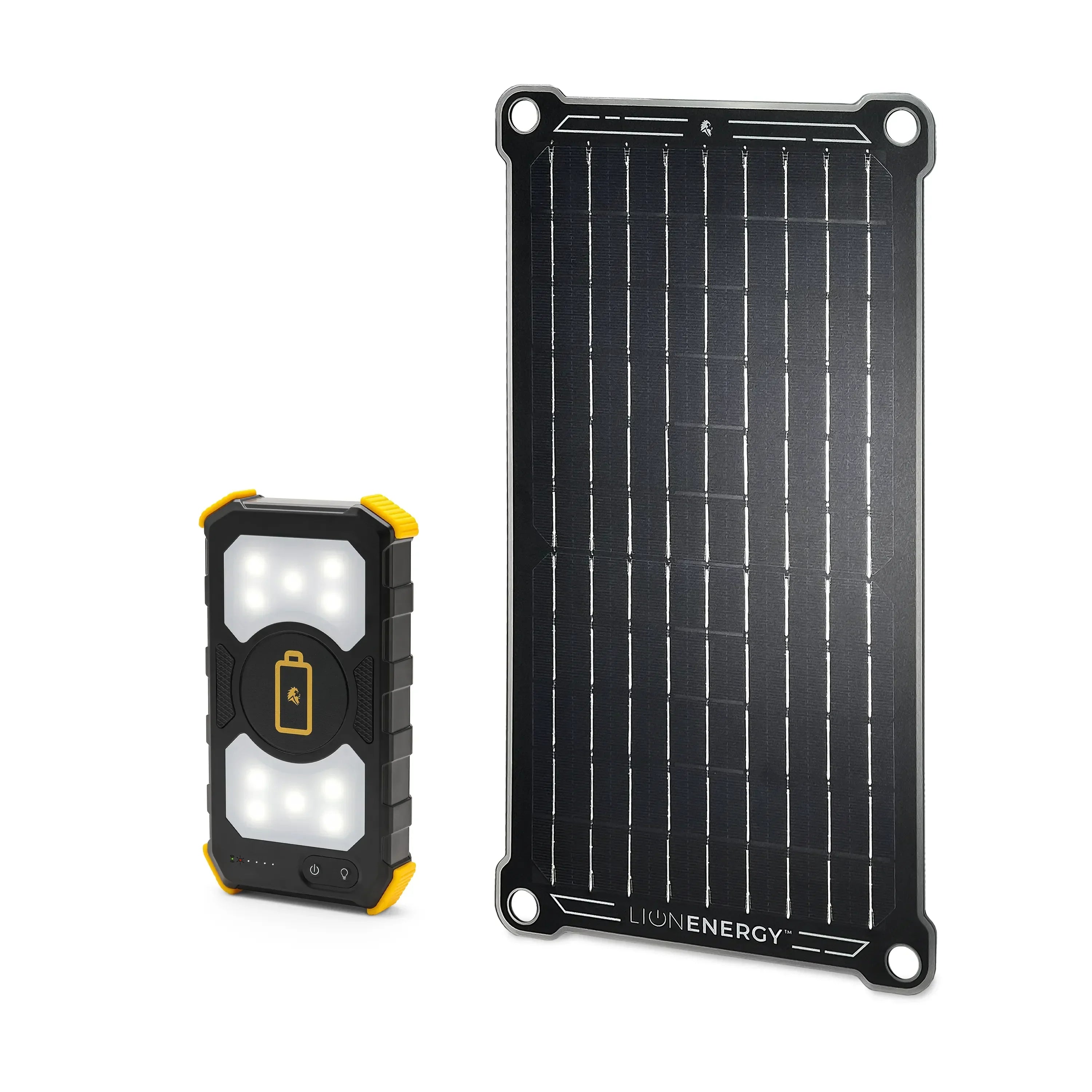 Lion Energy Lion Prowler Travel Kit - Green Vista Living