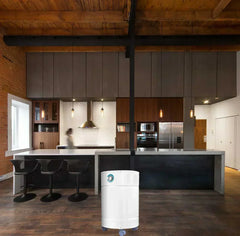 AllerAir - AirMedic Pro 6 HD Air Purifier - Green Vista Living