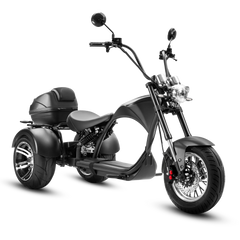 Eahora M1P Trike - Black