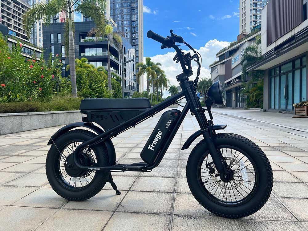 Freego Mini Fat Tire Electric Bike - Green Vista Living