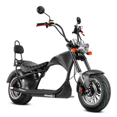 Eahora Two-seat M1P - Black