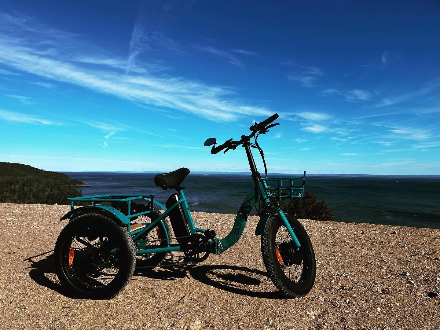 Eunorau New-Trike 2.0 - Green Vista Living