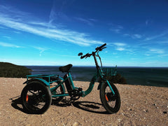 Eunorau New-Trike 2.0 - Green Vista Living