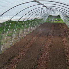Bootstrap Farmer Overhead Irrigation Kit - Green Vista Living