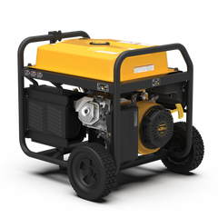 FIRMAN Power Equipment Gas Portable Generator 10000W Remote Start 120/240V