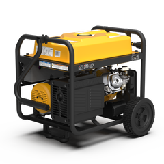 FIRMAN Power Equipment Gas Portable Generator 10000W Remote Start 120/240V