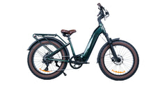 Magnum Bliss Electric Bike