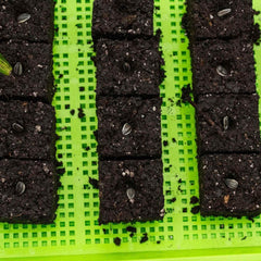 Bootstrap Farmer Soil Blocking Starter Kit - Green Vista Living