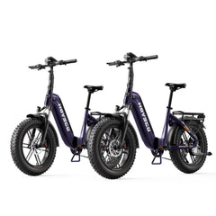 HOVSCO HovBeta 20" Foldable Fat Tire Electric Bike - Green Vista Living