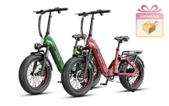 HeyBike Ranger 3.0 Pro-combo