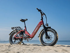 HeyBike Ranger 3.0 Pro-combo