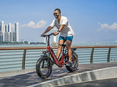 HeyBike Ranger 3.0 Pro-combo